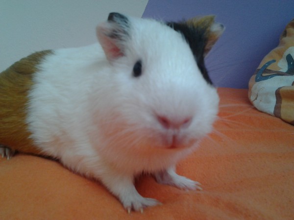 Lojzinka :3